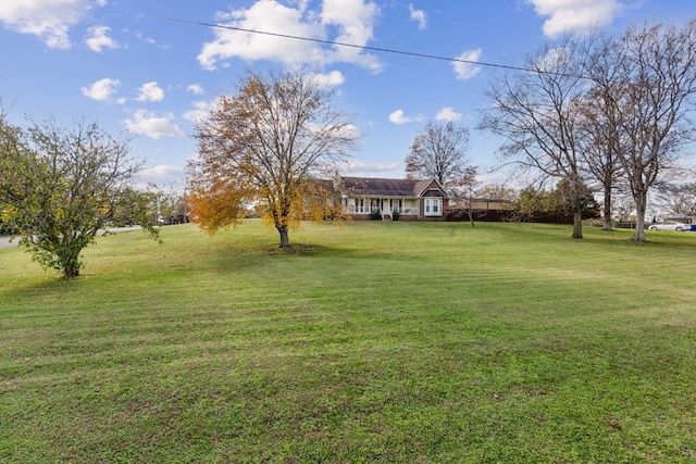 view of yard