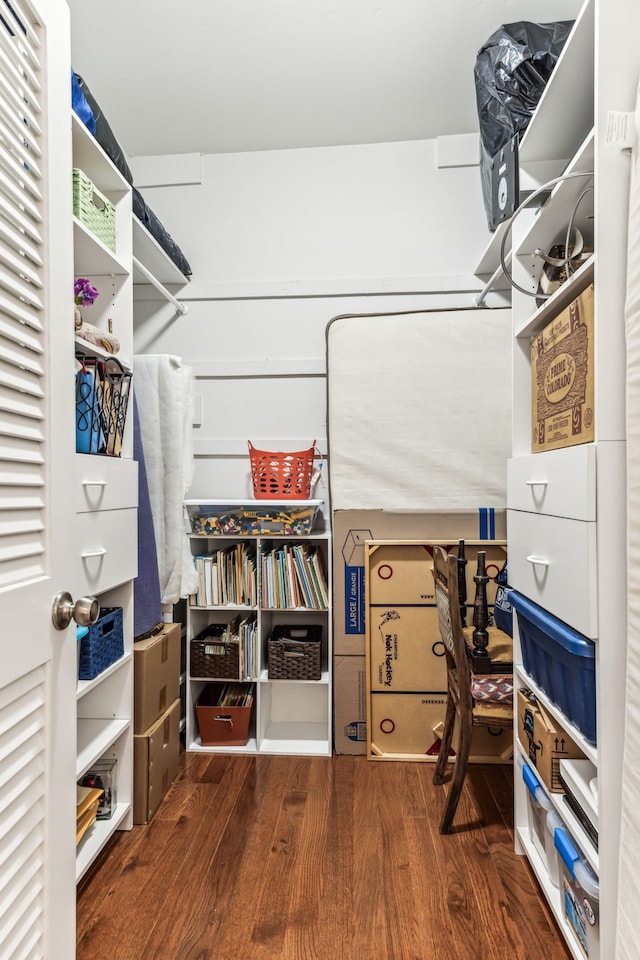 spacious closet featuring dark wood-type flooring