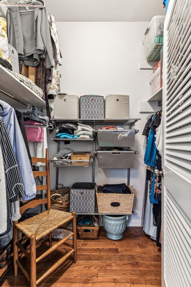 spacious closet with hardwood / wood-style floors