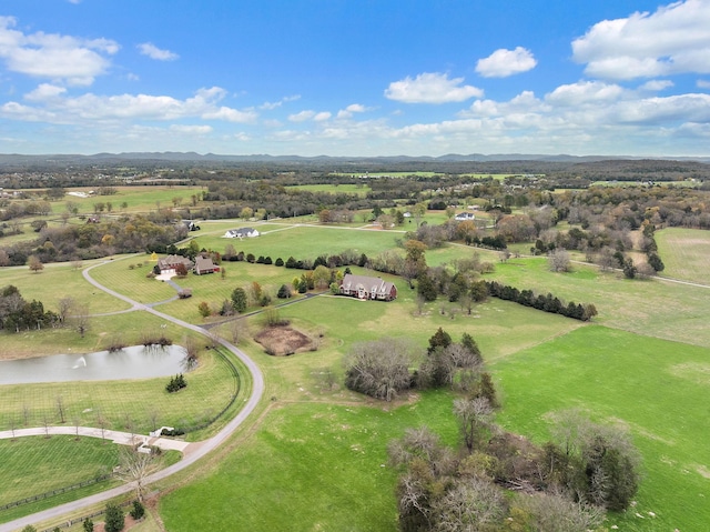 303 Middlefield Ln, Lascassas, TN 37085 - photo 49