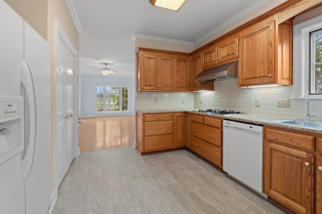 kitchen featuring sink, plenty of natural light, white appliances, and ornamental molding