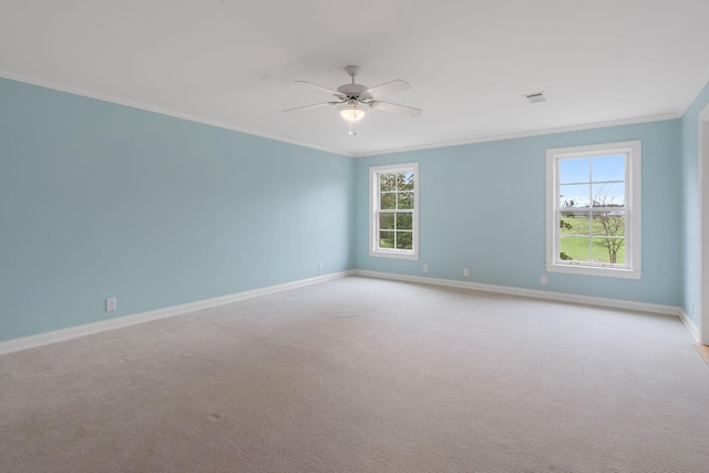 303 Middlefield Ln, Lascassas, TN 37085 - photo 39