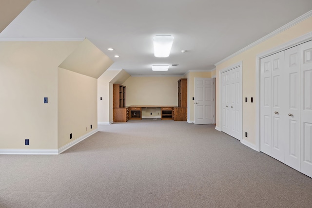 bonus room featuring carpet floors