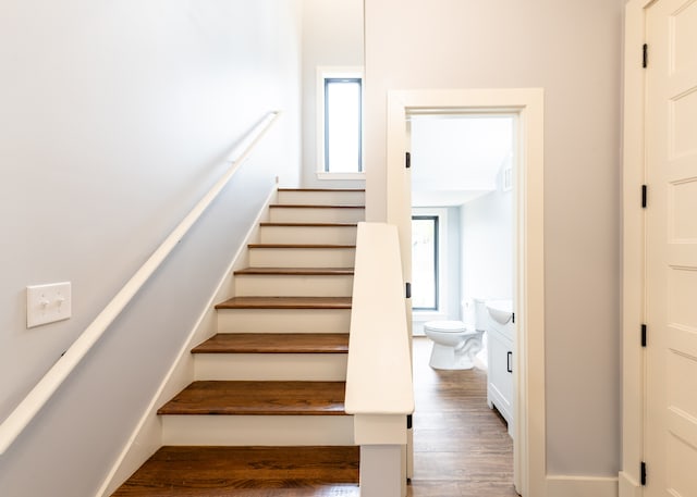 stairs featuring hardwood / wood-style flooring