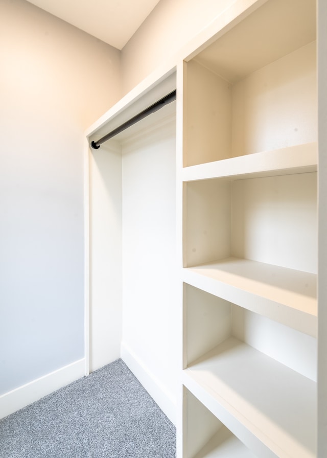 walk in closet featuring carpet floors