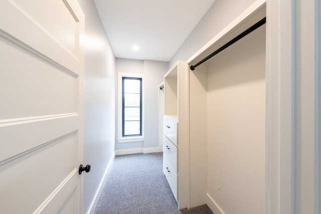 walk in closet featuring carpet floors