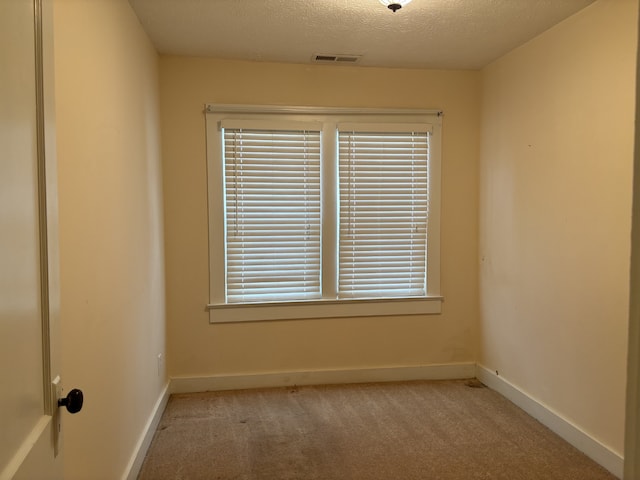 empty room featuring light colored carpet and a textured ceiling