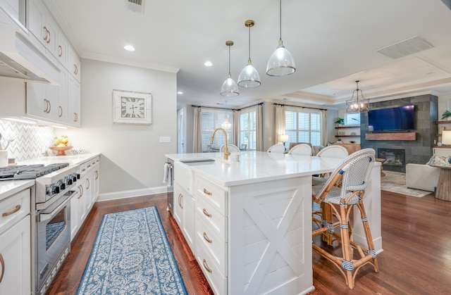 kitchen featuring a kitchen breakfast bar, white cabinetry, high end stainless steel range, and an island with sink