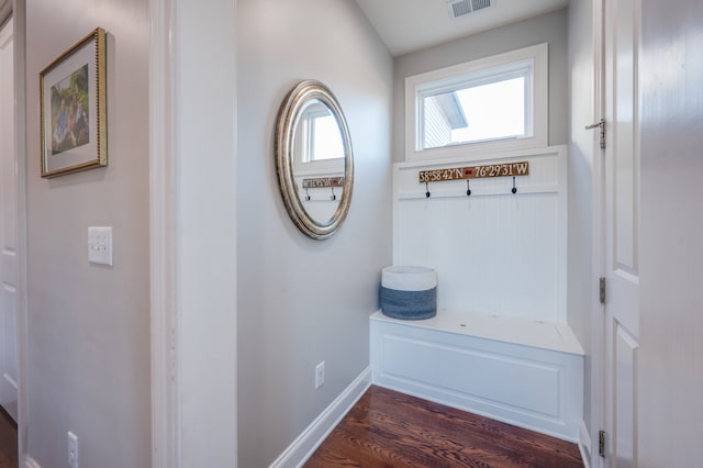 mudroom featuring dark wood-type flooring