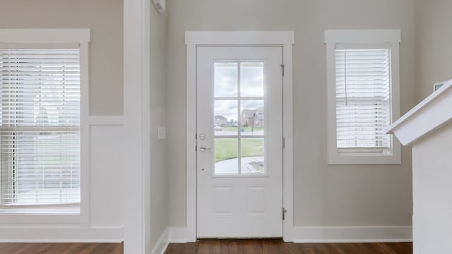 entryway featuring dark hardwood / wood-style flooring and a wealth of natural light