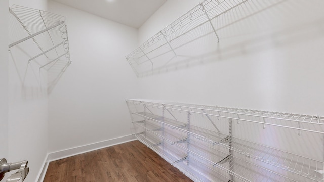 spacious closet featuring dark wood-type flooring