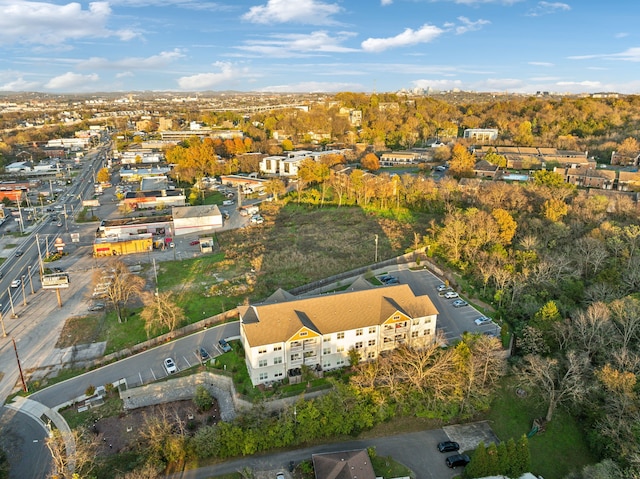 bird's eye view