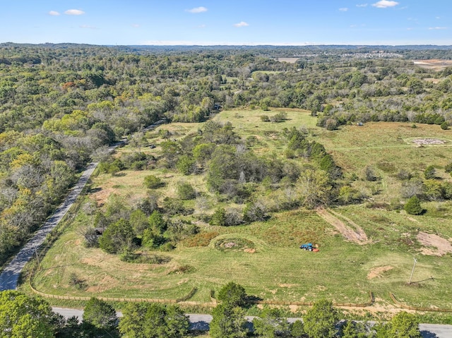 11B Double Br, Columbia, TN 38401 - aerial view of property and surrounding area with a forest