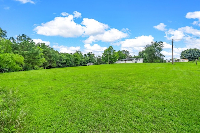 138 Walker Ridge Rd, Big Rock, TN 37023 - photo 35