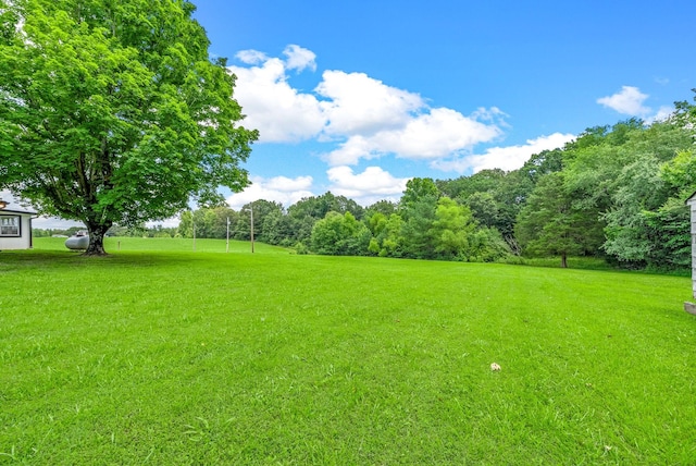 138 Walker Ridge Rd, Big Rock, TN 37023 - photo 34