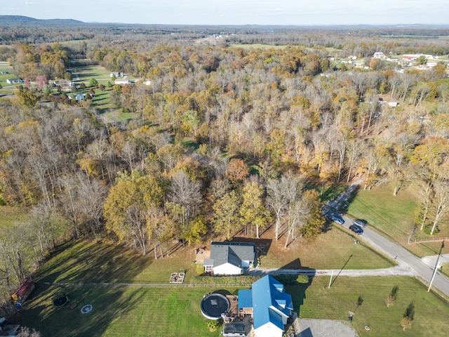 bird's eye view