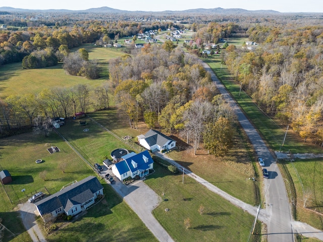 bird's eye view