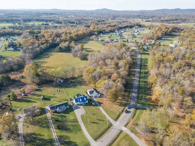 bird's eye view