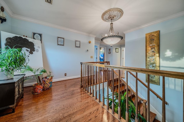 corridor featuring hardwood / wood-style flooring and crown molding