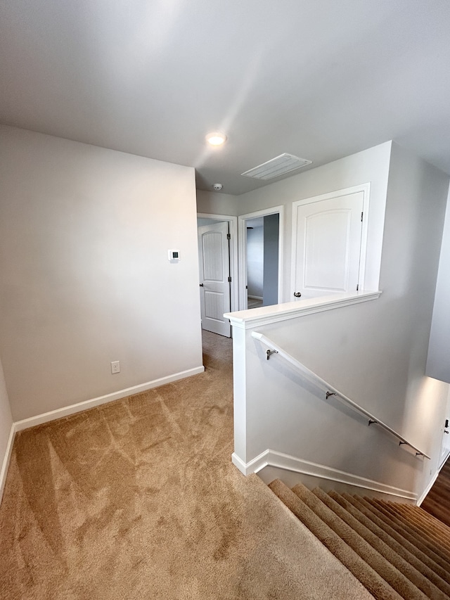 staircase featuring carpet