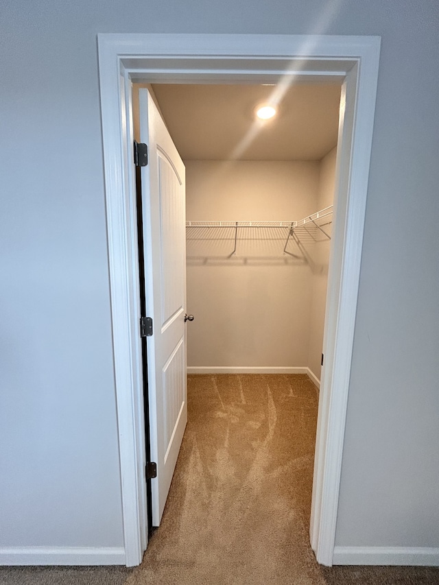 walk in closet with carpet