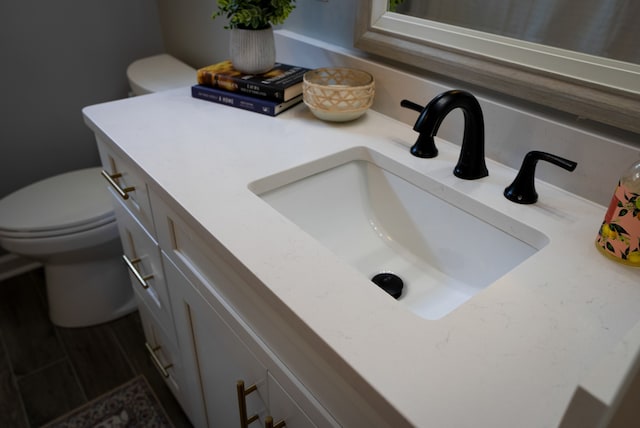 bathroom with vanity and toilet