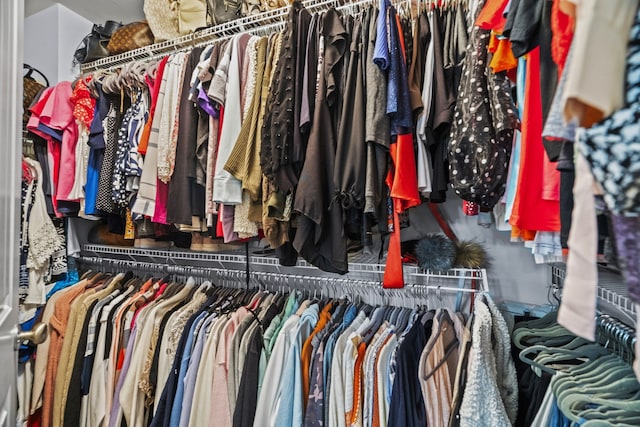 view of walk in closet