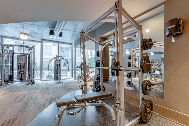 workout area featuring wood-type flooring and expansive windows