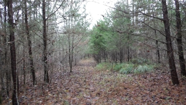 0 N Star Rd, Jamestown TN, 38556 land for sale