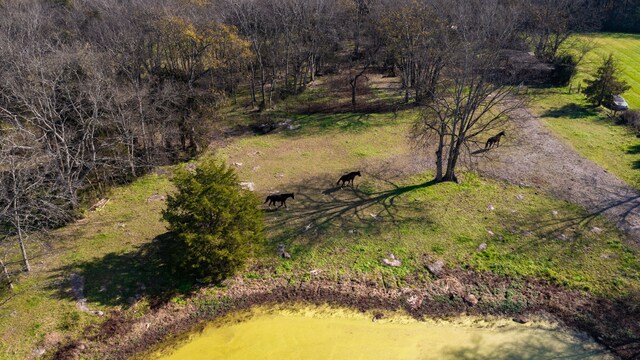 7477 Almaville Rd, Arrington, TN 37014
