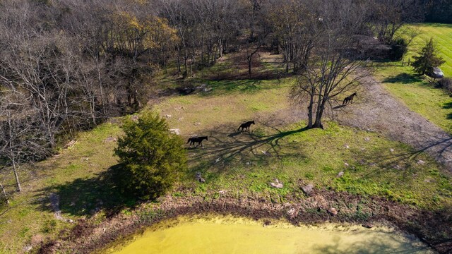 7477 Almaville Rd, Arrington, TN 37014