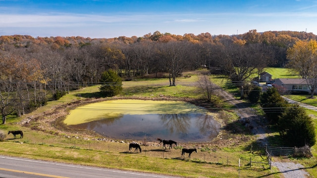 7477 Almaville Rd, Arrington, TN 37014