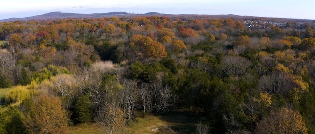 7477 Almaville Rd, Arrington, TN 37014
