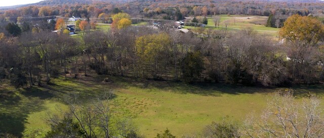 7477 Almaville Rd, Arrington, TN 37014