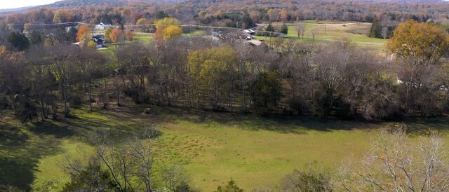 7477 Almaville Rd, Arrington, TN 37014