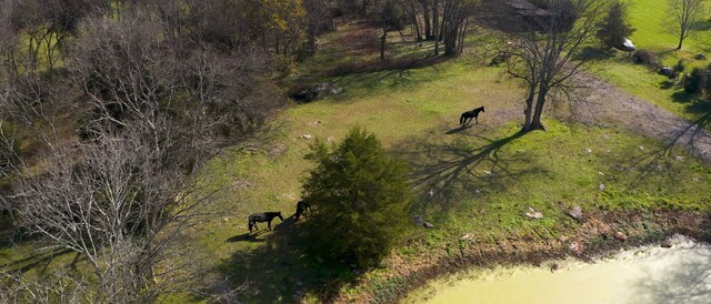 7477 Almaville Rd, Arrington, TN 37014