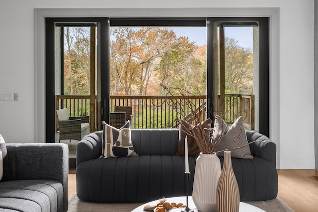 interior space featuring light hardwood / wood-style floors and a healthy amount of sunlight