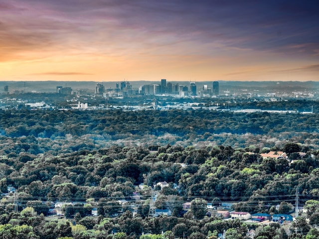 view of aerial view at dusk