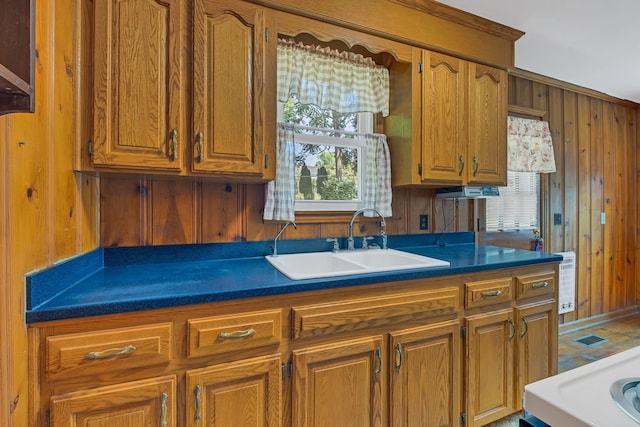 kitchen featuring sink and wood walls