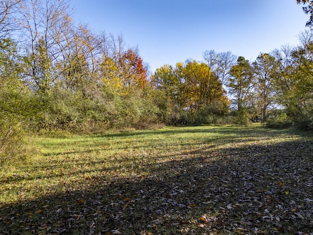 0 Simmons Cir, Fayetteville, TN 37334