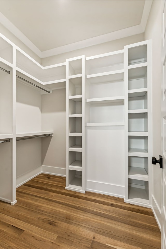 walk in closet featuring wood-type flooring