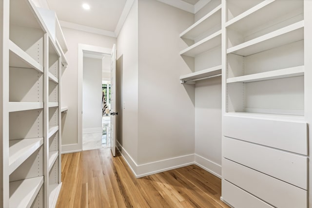 walk in closet with hardwood / wood-style flooring