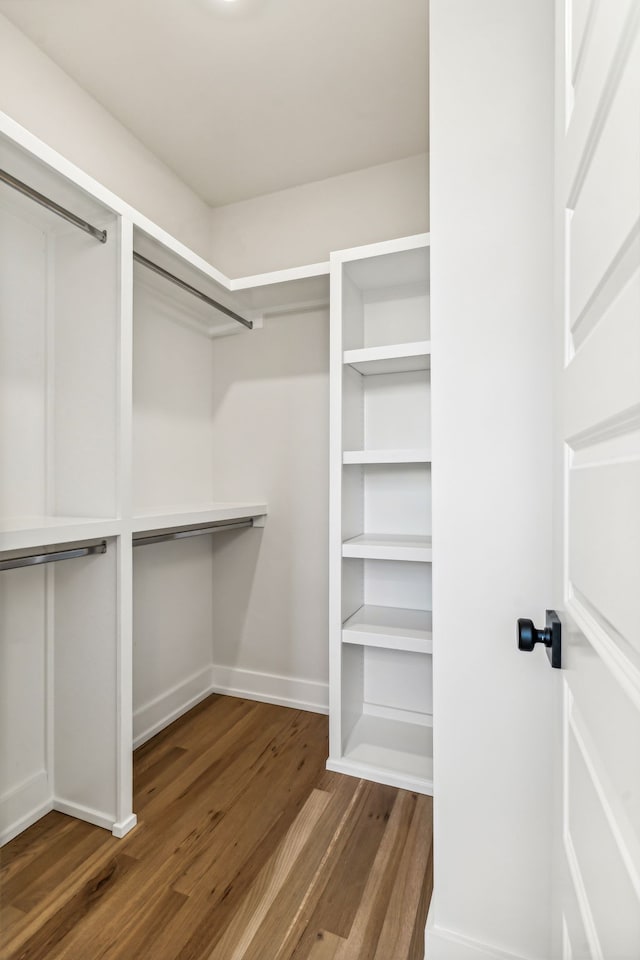 spacious closet featuring dark wood-type flooring