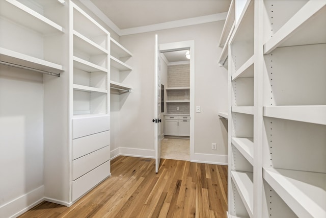 walk in closet with hardwood / wood-style floors