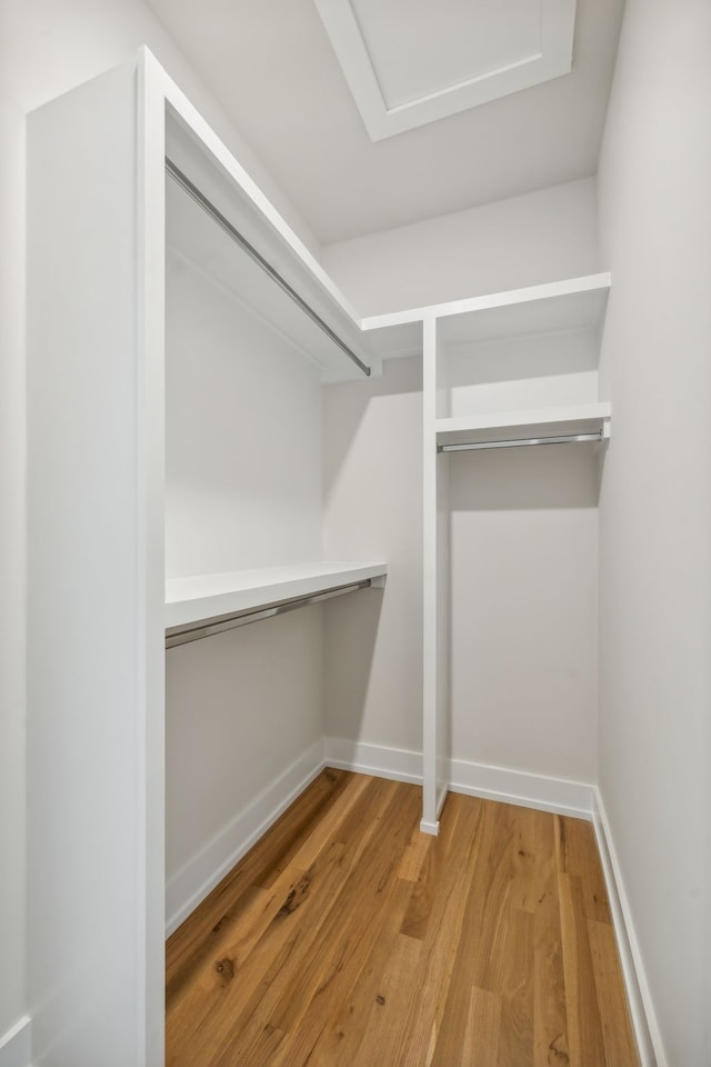 spacious closet with wood-type flooring