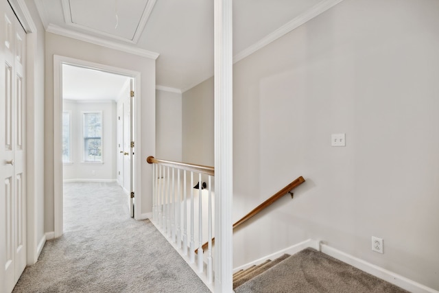 corridor featuring light colored carpet and ornamental molding