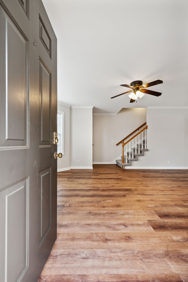 foyer entrance featuring ceiling fan and light hardwood / wood-style flooring