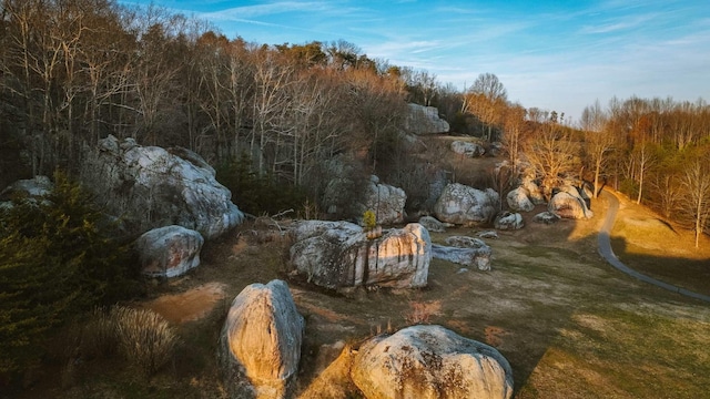 view of local wilderness