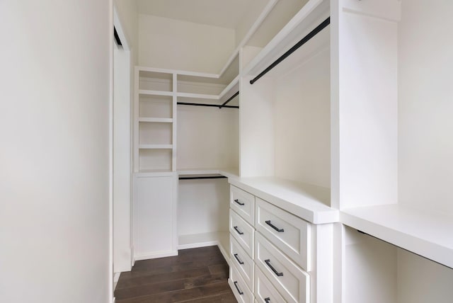 spacious closet featuring dark wood finished floors