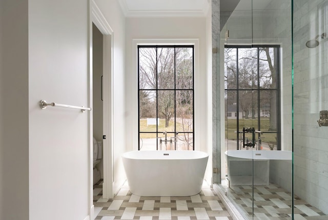 full bathroom featuring toilet, a freestanding bath, and crown molding